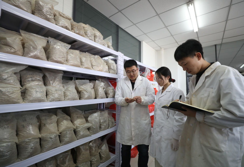 新华全媒＋丨探访黄色直播
土肥高效利用国家工程研究中心